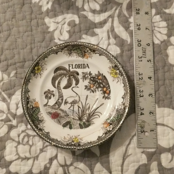 ? Other - Vintage Florida souvenir plate